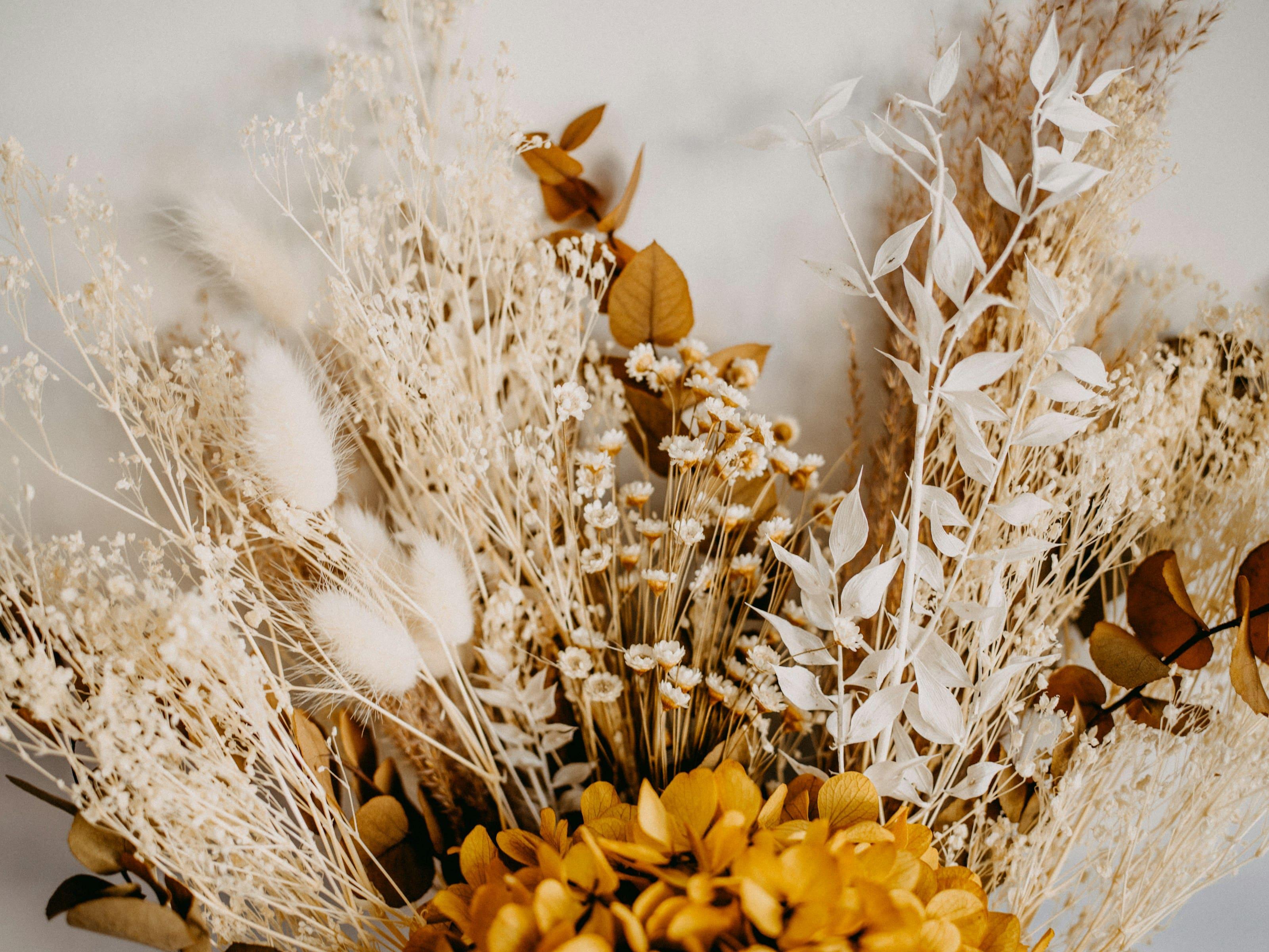 What 'EWG Verified' Actually Means (And Why We Care)